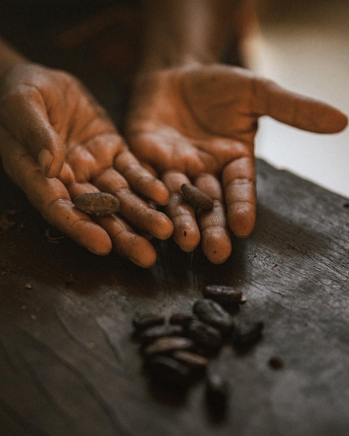 GUATEMALAN CEREMONIAL CACAO Block: Organic Theobroma Cacao - 454g